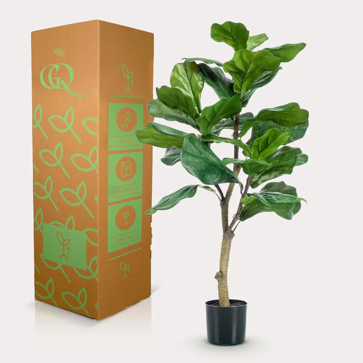 Kunstplant | Ficus Lyrata | 100 cm