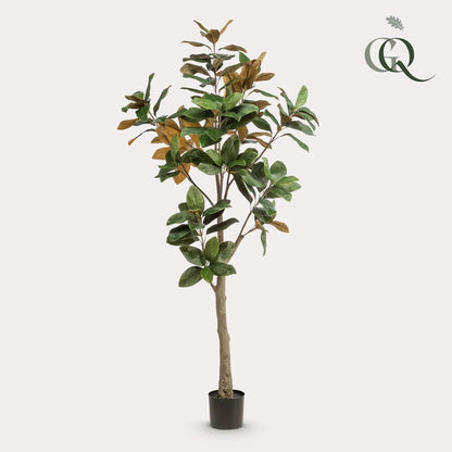 Kunstplant | Magnolia Grandiflora | 180 cm