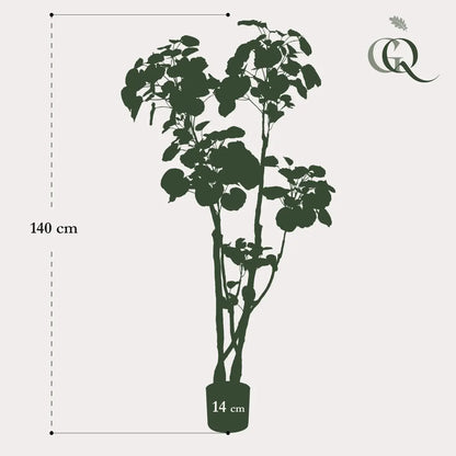 Kunstplant | Polyscias Aralia | 140 cm