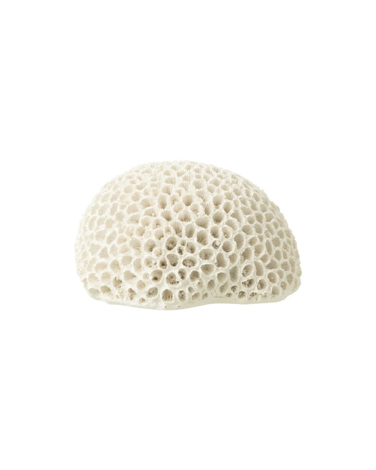 Ornament koraal wit | 13 cm