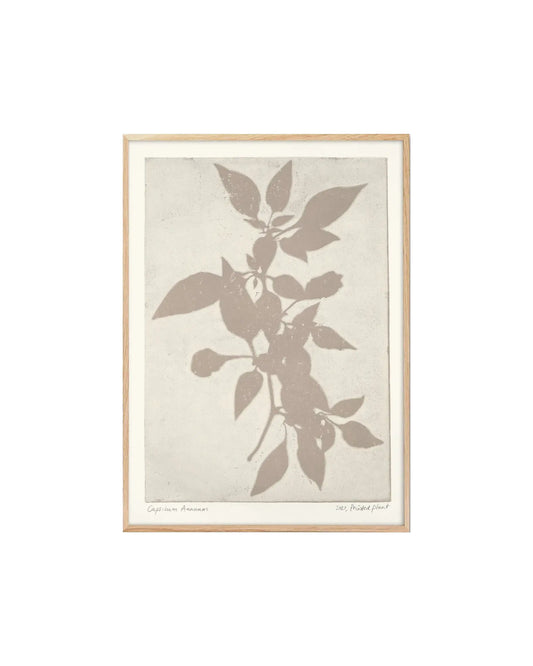 Poster | 30 x 40 cm | Printedplant - Capsicum Annuum