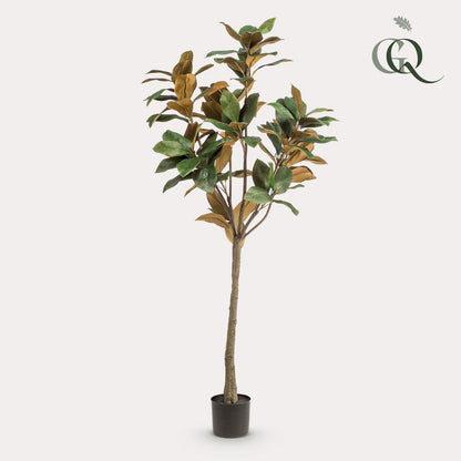 Kunstplant | Magnolia Grandiflora | 150 cm